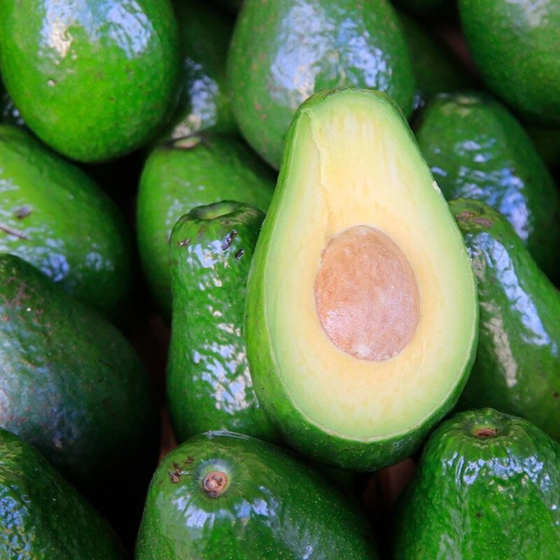 Aguacate Simpson