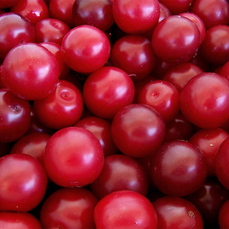Ciruela