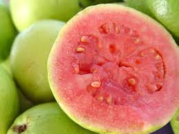 Guayaba China Por Semilla