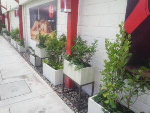 Jardin Moderno