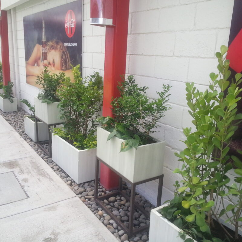 Jardin Moderno