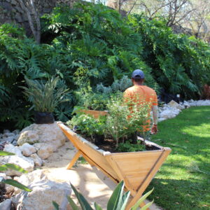 Jardin de Plantas Comestibles