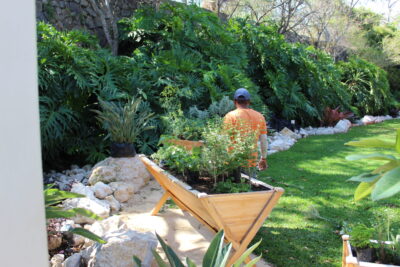 Jardin de Plantas Comestibles