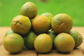 Limon Mandarina