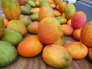 Mango Julie