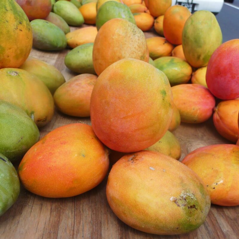 Mango Julie