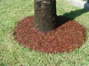 Mulch