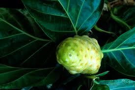 Noni