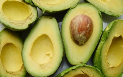 Cultivar aguacates en casa. Consejos prácticos y sencillos