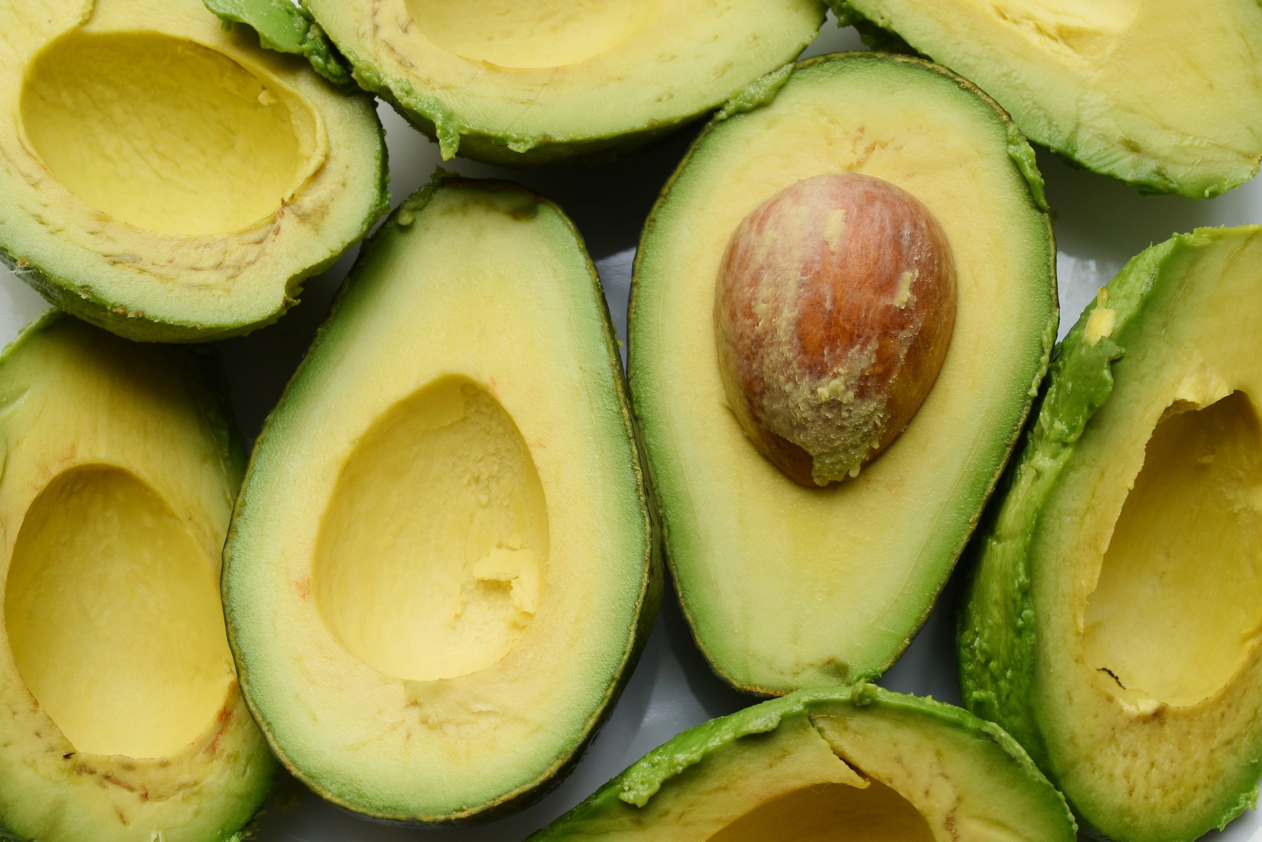 En este momento estás viendo Cultivar aguacates en casa. Consejos prácticos y sencillos