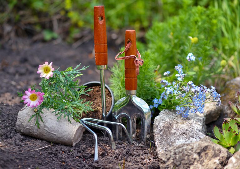 Lee más sobre el artículo Cómo hacer un jardín en mi casa. Consejos prácticos