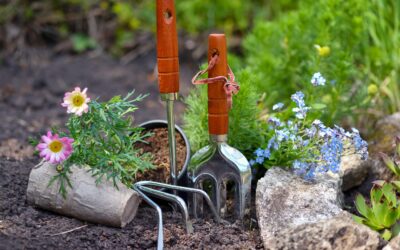 Cómo hacer un jardín en mi casa. Consejos prácticos