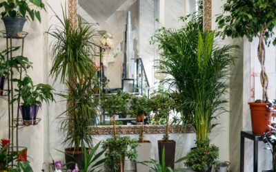 Tendencias en Decoración con Plantas para Interiores y Exteriores en 2025