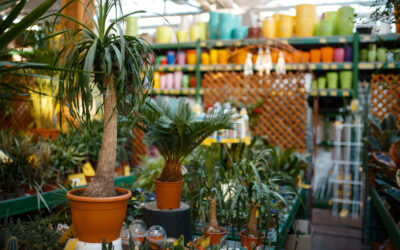 Diseño de Jardines Sostenibles: Crear Espacios Verdes Hermosos con Bajo Consumo de Agua y Mantenimiento
