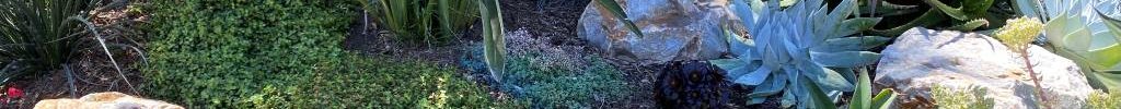 jardin sequia